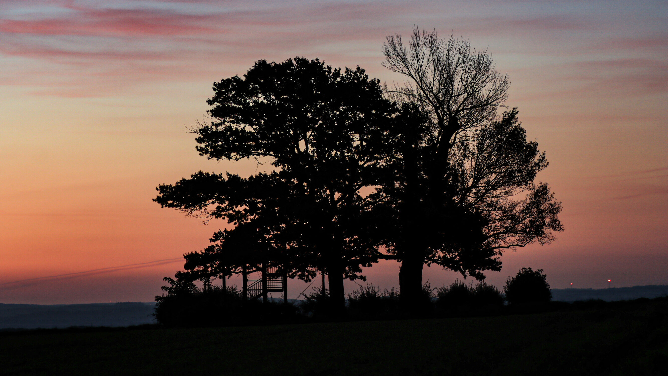 Bild mit Bäume, Sonnenaufgang
