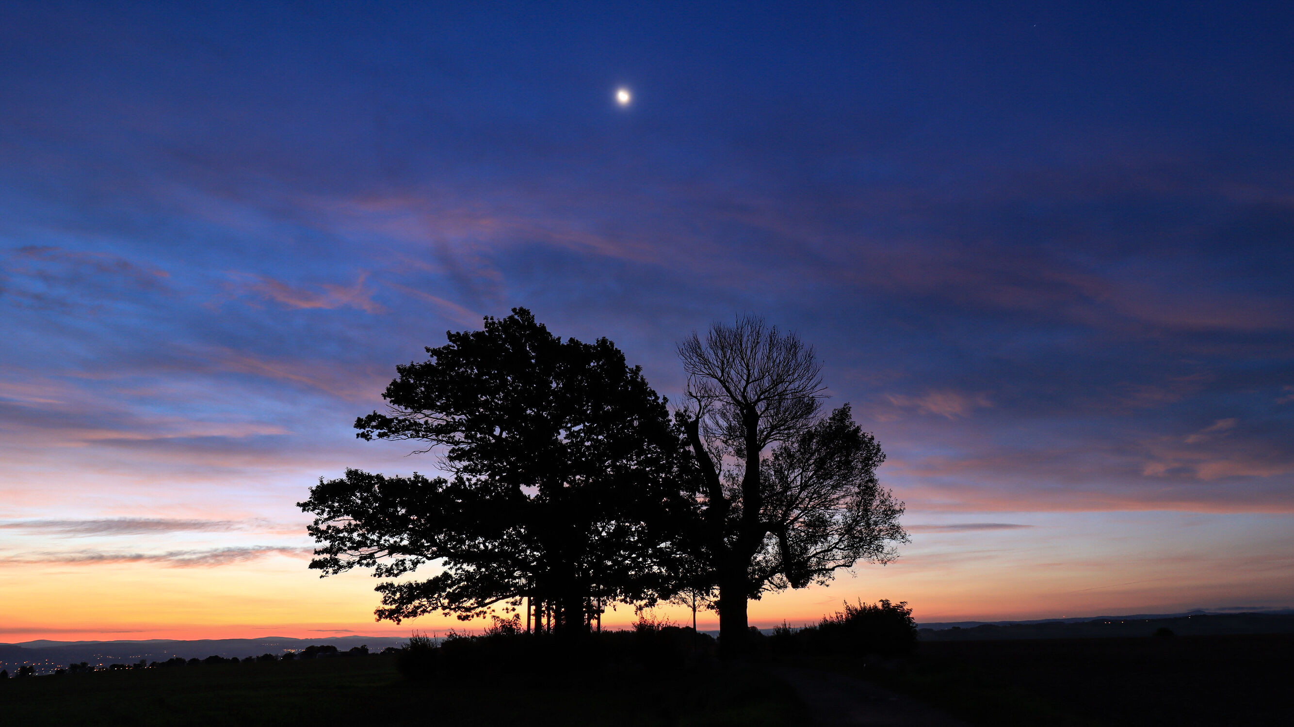 Bild mit Bäume, Sonnenaufgang, Baum, Vollmond, pappel
