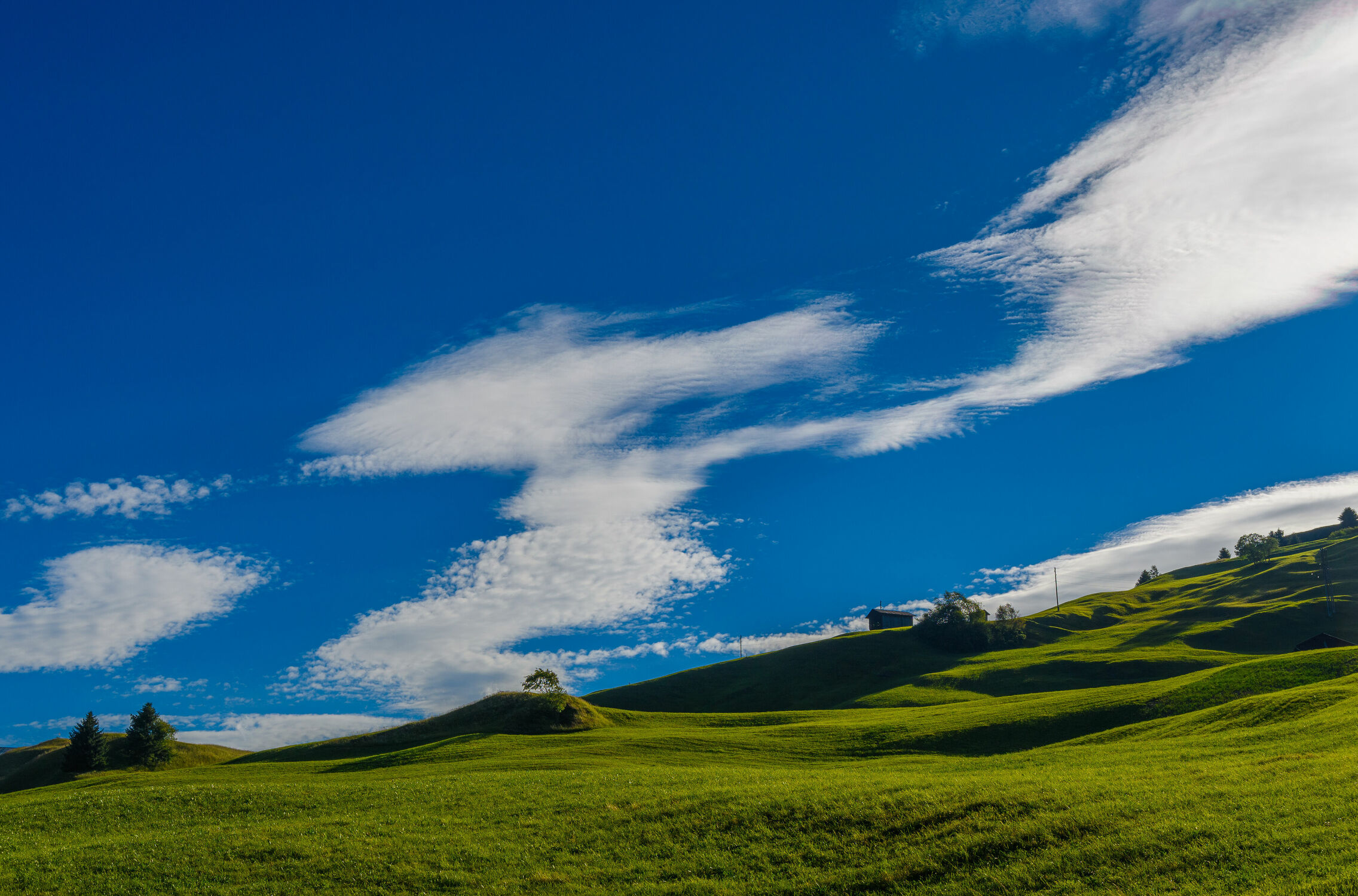 Bild mit Weiden und Wiesen, Wolkenhimmel, Landschaft, Landschaften & Natur