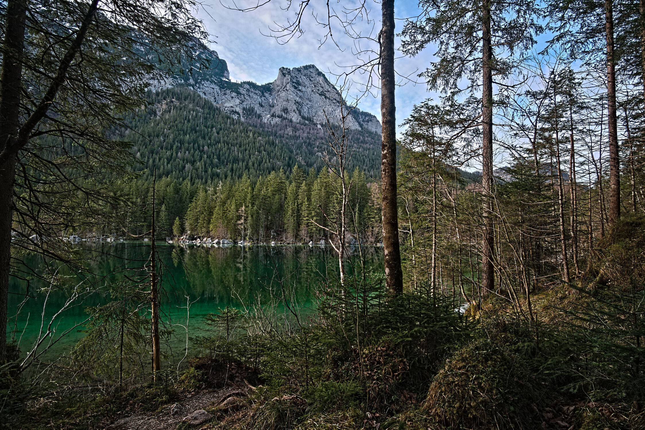 Bild mit Wald, Waldblick, Seeblick