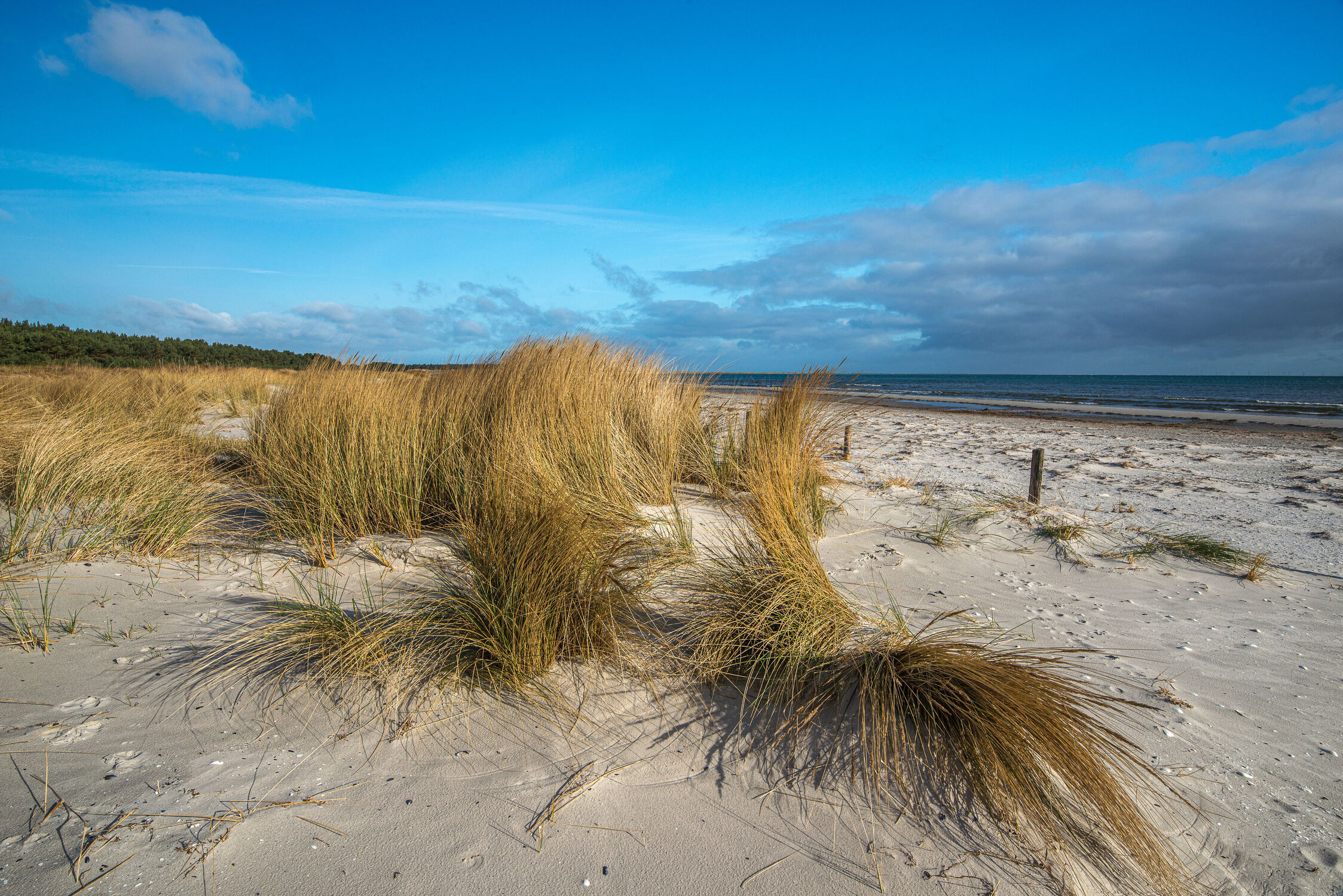 Bild mit Strand, Sandstrand, Ostsee, Blauer Himmel, Dünenlandschaft, Darß, Fischland & Darß, Darßer Nordstrand, Ostsee Darß