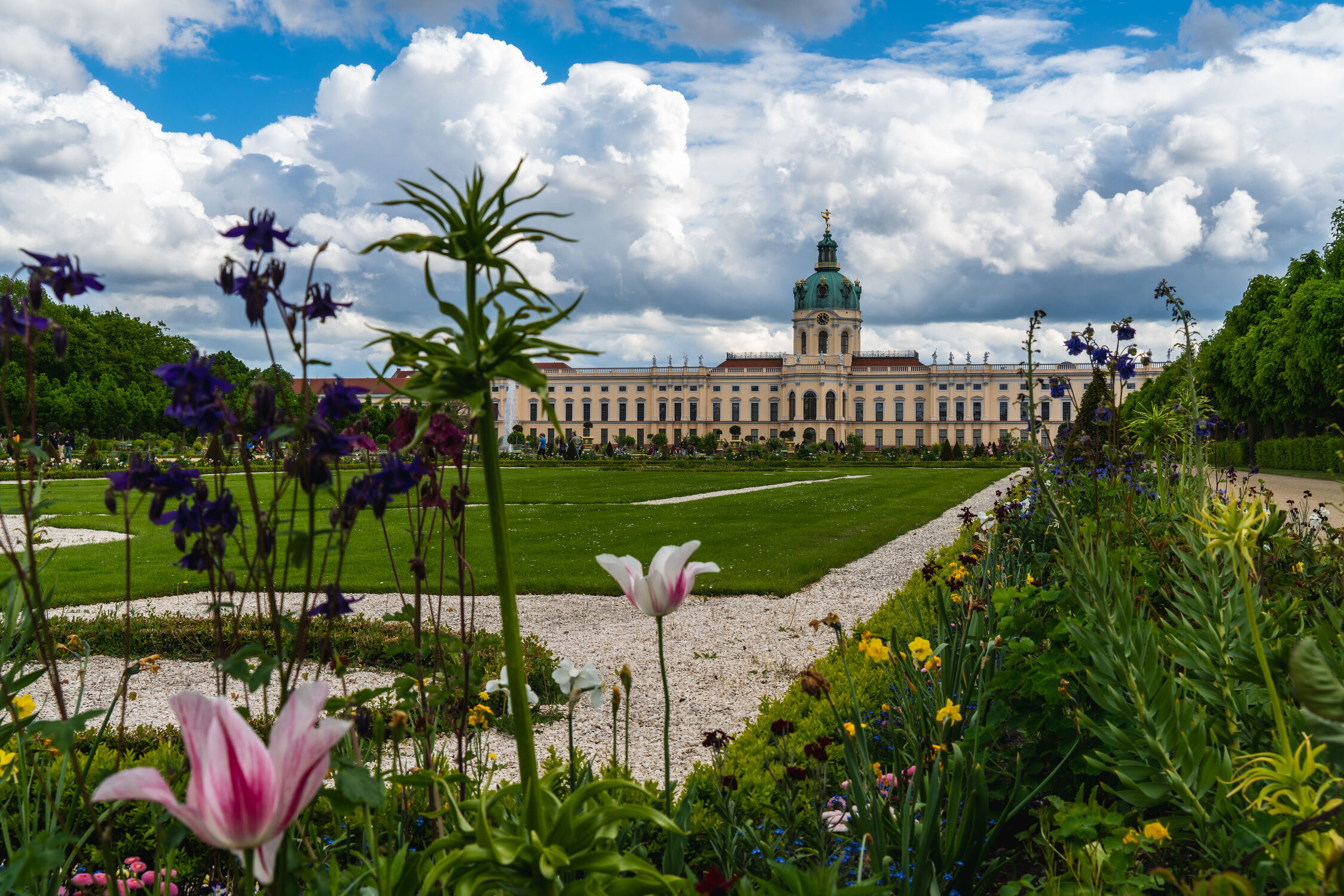 Bild mit Blumen, Frühling, Tageslicht, Schloss, Berlin, Tulpe, garten, sonnig, quellwolken, Charlottenburg