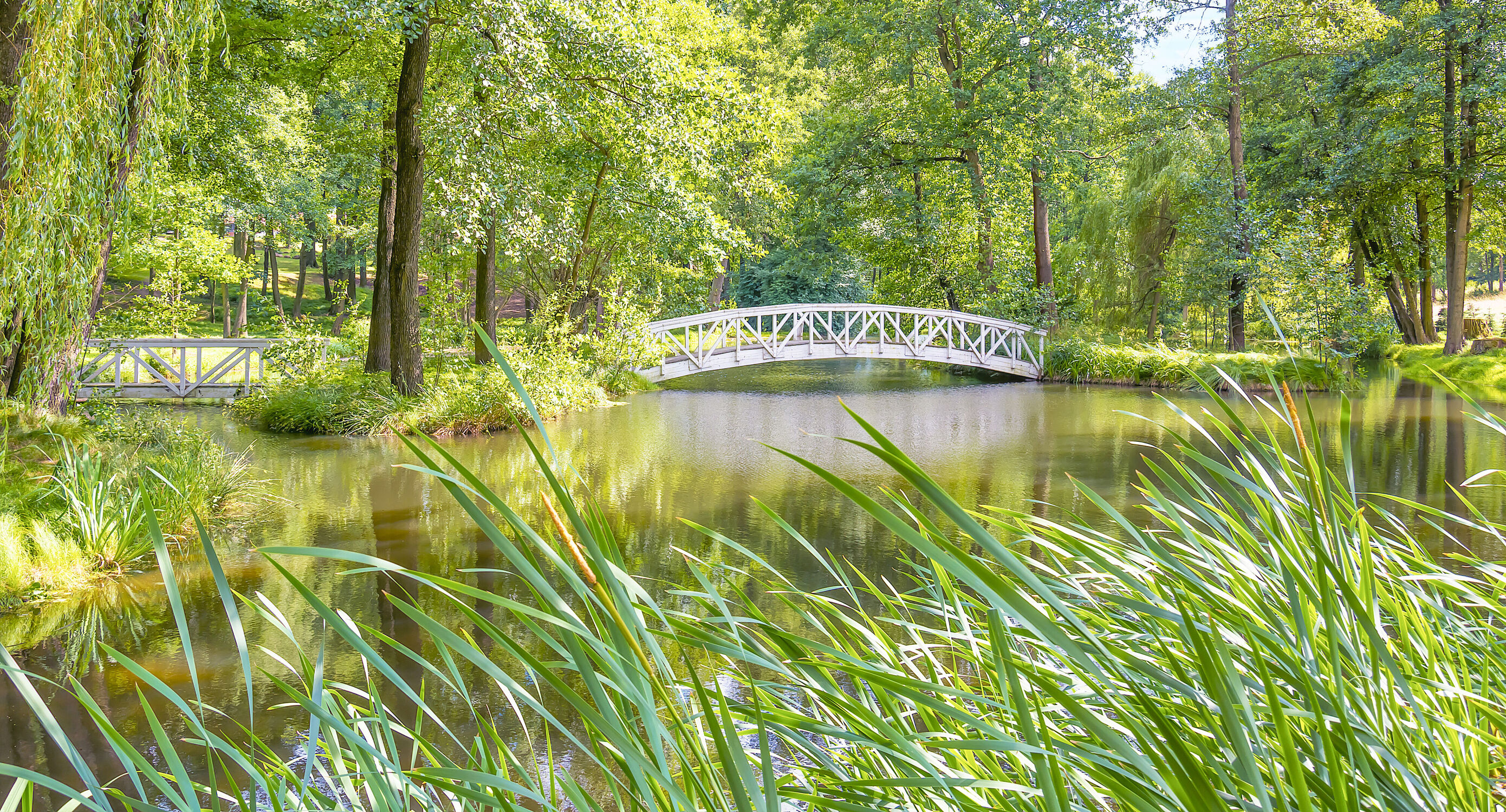 Bild mit Natur, Seen, Parks, Laubbäume, Brücken und Bögen, Gewässer im Wald, Holzbrücke