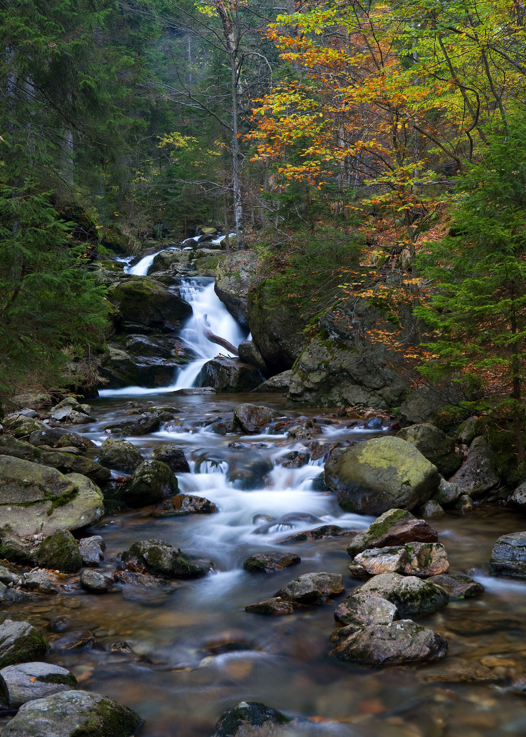 Bild mit Natur, Wasser, Landschaften, Wälder, Herbst, Wasserfälle, Wald, Landschaft, Wasserfall