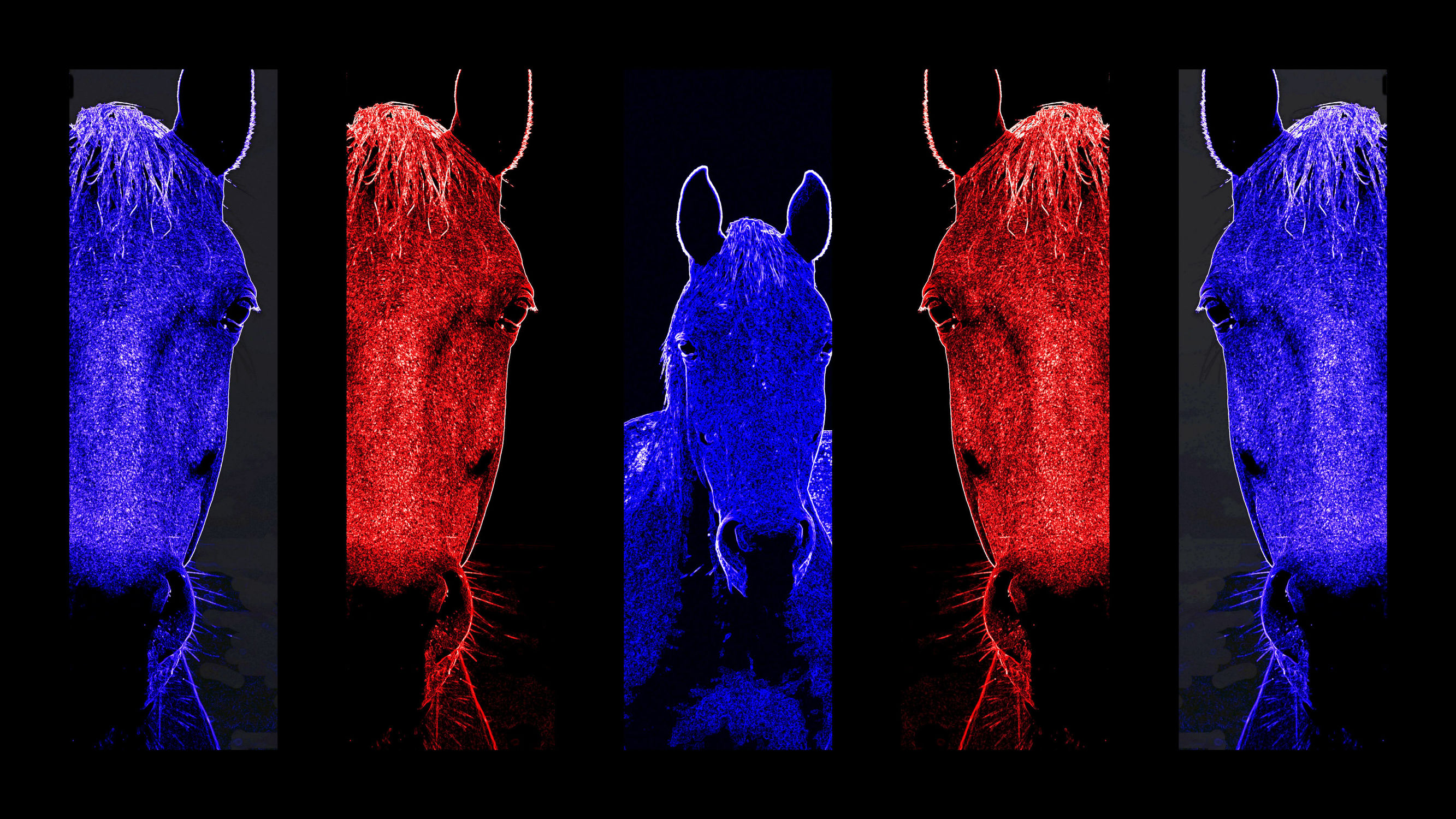 Bild mit Tiere, Pferde, Tier, Kinderbilder, Kinderzimmer, Pferd, Digital Art, Digitale Art