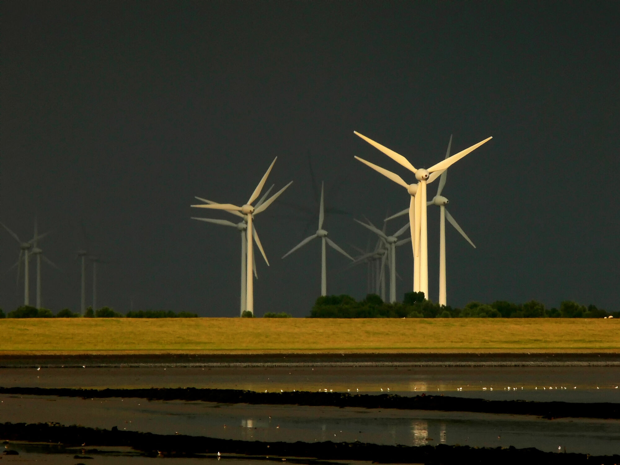 Bild mit Windmühlen, Gewitter, Regen, Emden, Ostfriesland, Abendsonne, Dollart, Ems, Knock, Front, Windpark