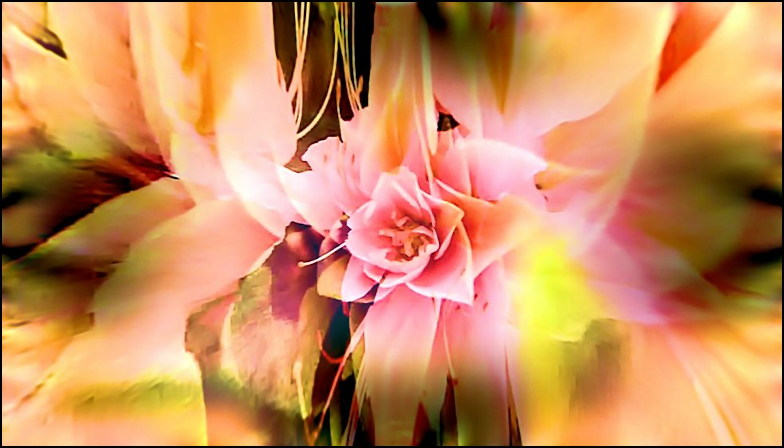 Bild mit Bunte Blumenpracht, Blütenzauber, Blüten, Blumiges, Digitale Blumen
