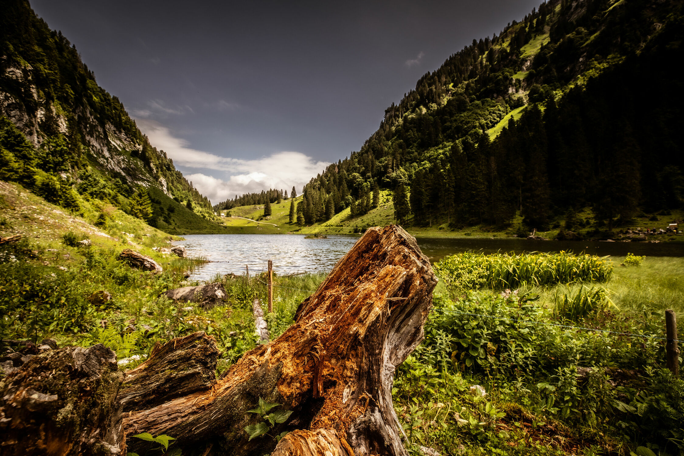 Bild mit Täler, Nadelbäume, Bergsee, Wanderungen