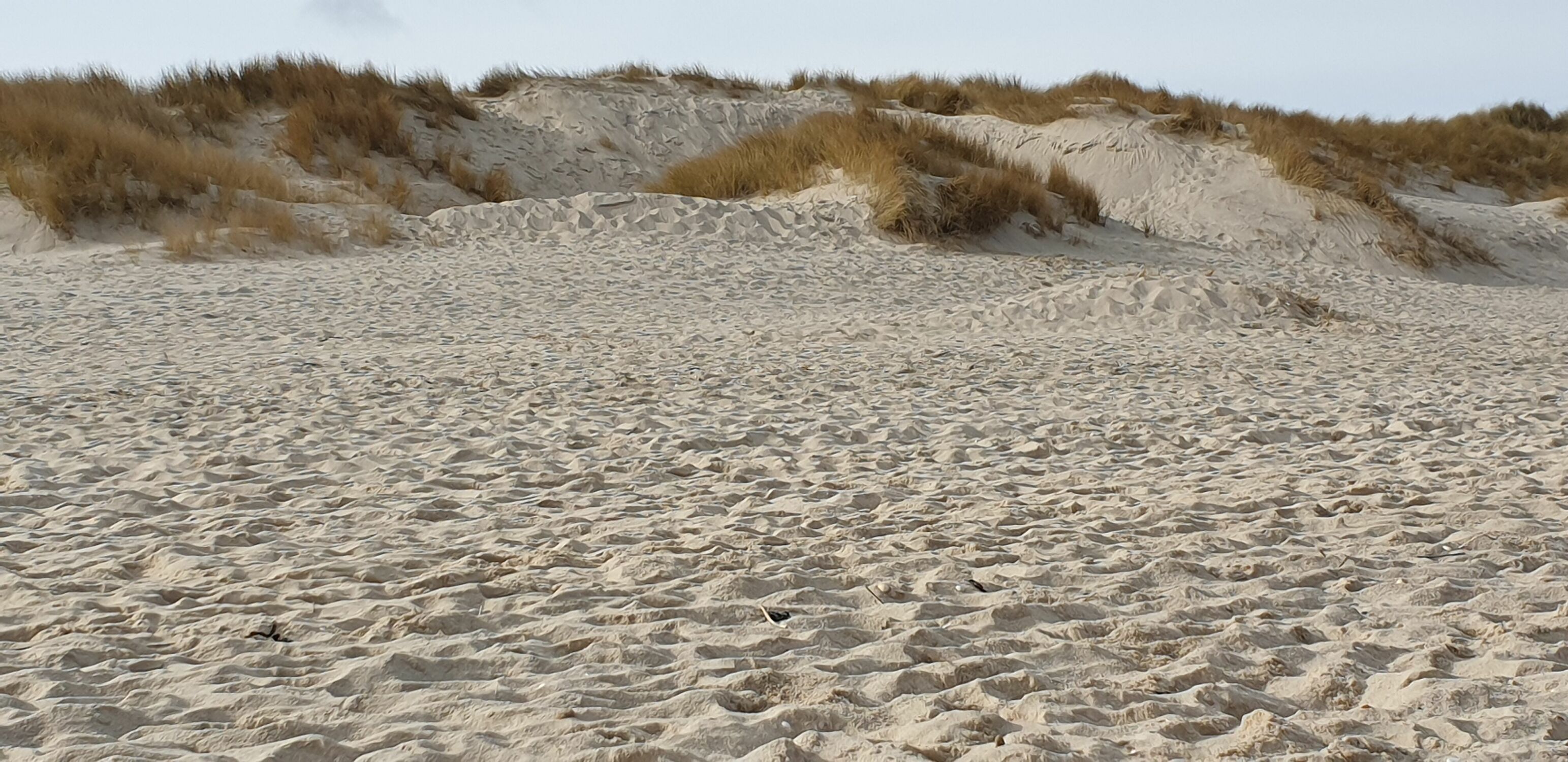 Bild mit Strand, Sandstrand, Strandblick, Dünenlandschaft, Dünen panorama, Dünen panorama