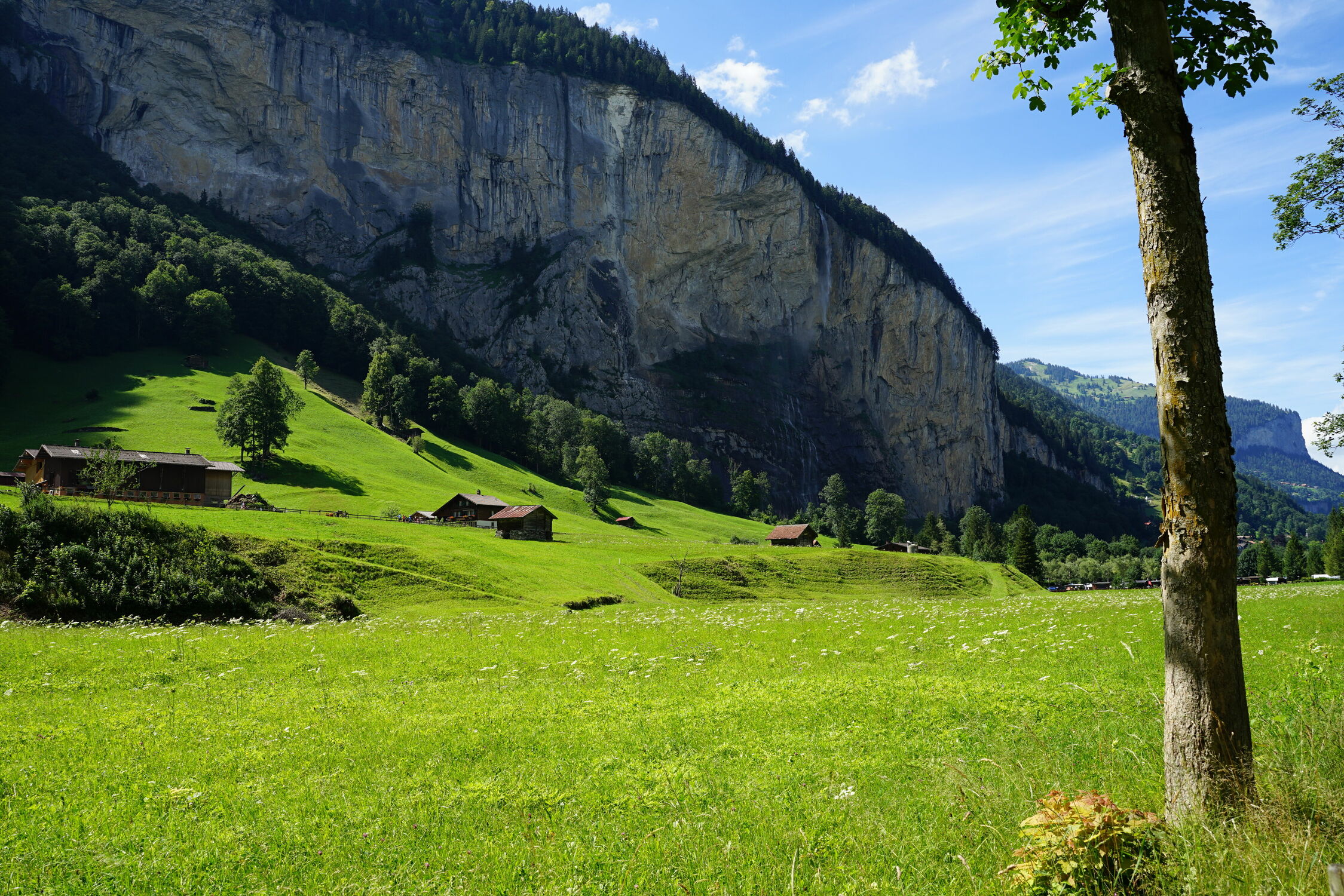 Bild mit Berge, Alpen, Wald, Baum, Landschaft, Gras, Fels, Schweiz, Felswände, grüne Wiese