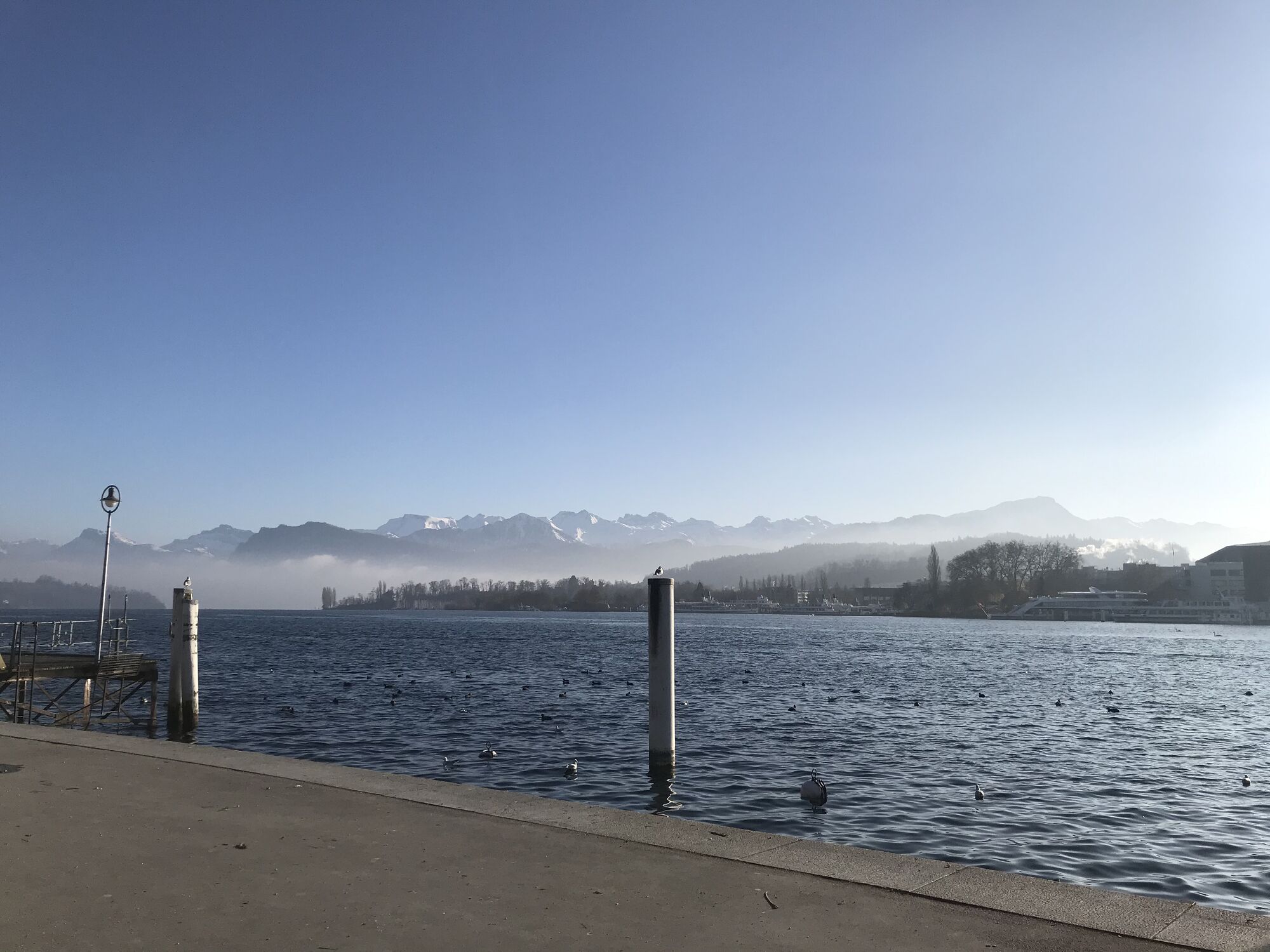 Bild mit See, Vierwaldstättersee, Luzern