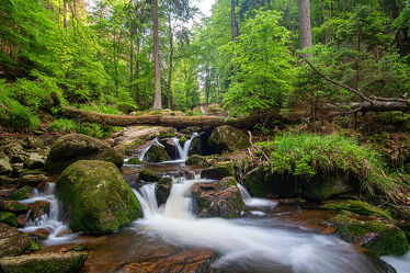 Bild mit Natur, Berge und Hügel, Bäume, Wald, Landschaft, Steine, Bach, Wasserfall, Harz, Ilsefälle