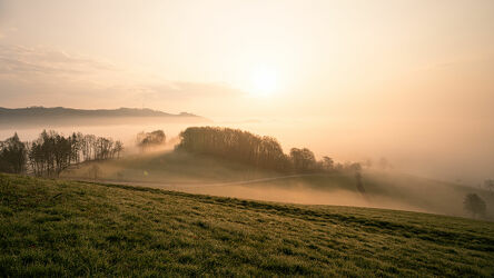 Bild mit Natur, Bäume, Nebel, Sonne, Landschaft, Sauerland