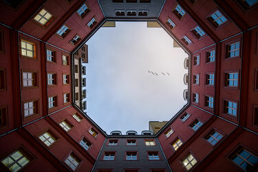 Bild mit Rot, Architektur, Gebäude, Städte, Vögel, Fenster, Berlin, urban, hochhaus