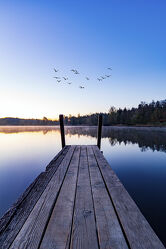 Bild mit Wasser, Himmel, Holz, Sonnenaufgang, Vögel, Steg, Bootssteg, See, Pier, Reflektionen im Wasser