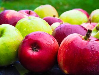 Bild mit Apfel mit Wassertropfen, grüne Äpfel, Obst, Küchenbild, Erntezeit, Erntedankzeit, erntedankfest, rote Äpfel