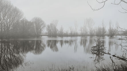 Bild mit Natur, Winter, Nebel, See, winterlandschaft, schwarz & weiss, Düsteres, mystic, monochrom, Wasserspiegelung
