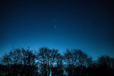 Bild mit Natur, Bäume, Baumkrone, Sterne, Nacht, romantisch, Sternenhimmel, Weltall, Nachthimmel, shilouette