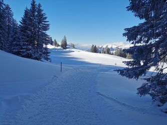 Bild mit Landschaften, Winter, Schnee, Wald, Winterlandschaften, Schweiz, pfad