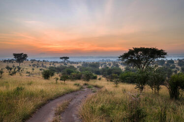 Bild mit Natur, Landschaften, Berge und Hügel, Nationalparks, Sonnenaufgang, Reisen, Naturlandschaften, Afrika, Morgenstimmung, Uganda