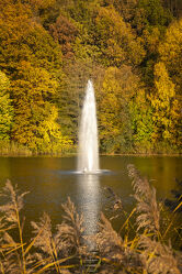 Bild mit Natur, Herbst, Laubbäume, Wald, Landschaft, Oberlausitz, Herbstblätter, Spree, stausee, Wasserfontänen