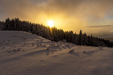 Bild mit Bäume, Winter, Schnee, Sonnenuntergang, Sonne, Wald, Landschaft, Licht, Abendstimmung, schneebedeckt