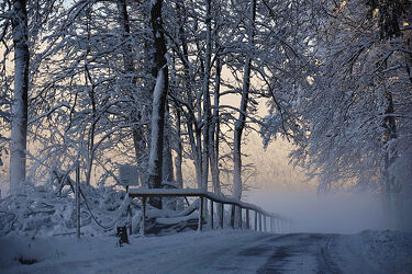 Bild mit Natur, Landschaften, Schnee, Straßen und Wege, Nebel, winterlandschaft