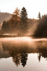 Bild mit Nebel, Sonnenschein, See, Sonnenschein durch eine Baumkrone, Spiegelung, Landschaften & Stimmungen, Sonnenstrahlen, reflektion