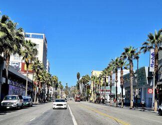 Bild mit Palmen, Stadt, Blauer Himmel, USA, Kalifornien, Walk of Fame, Hollywood, los angeles