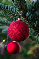 Bild mit Rot, Weihnachten, Weihnachtsbaum, leuchtend, Glitzern, Kugel