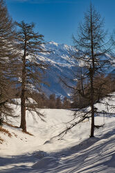 Bild mit Natur, Landschaften, Berge, Himmel, Bäume, Winter, Schnee, Wege, Schweiz, Wallis
