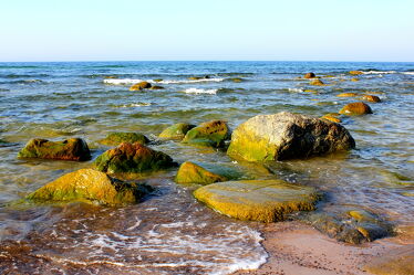 Bild mit Natur, Strand, Ostsee, Meer, Steine, Küste, Rügen, Seegras, natürlich, ostseesteine
