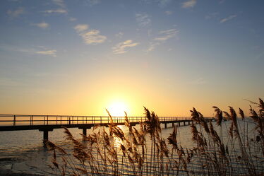 Bild mit Natur, Gräser, Sonnenuntergang, Sonnenaufgang, Schilf, Ostsee, Seebrücke, Küste, Rügen, Stimmung
