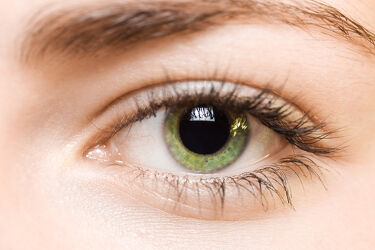 Bild mit Grün, Wimpern, Auge, Iris, Frau, nahaufnahme, detail, Pupille, Augapfel