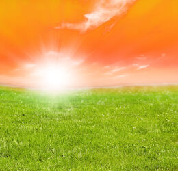 Bild mit Orange, Grün, Himmel, Frühling, Sonnenuntergang, Sonnenaufgang, Sonne, Gras, Wiese, Feld
