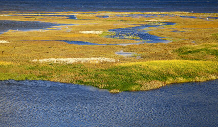 Bild mit Meer, Landschaft, Gras, Küste, Wattenmeer, Nationalpark, Dänemark, Naturschutzgebiet