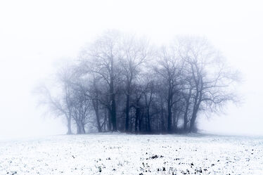 Bild mit Natur, Landschaften, Bäume, Winter, Schnee, Wälder, Deutschland, Nebel, Bergisches Land