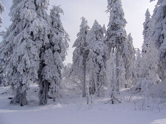 Bild mit Winterlandschaften, Winterimpressionen