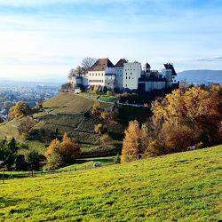 Bild mit Landschaften, Hügel, Schlösser und Burgen, Schweiz, Lenzburg