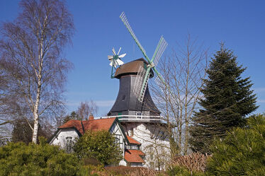 Bild mit Deutschland, Flügel, Windmühle, Windmühle, alt, Historisch, Mühle, Handwerk, Anna, Galerieholländer