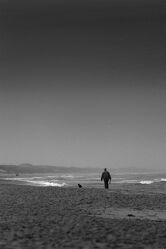 Bild mit Strand, Sandstrand, Strandblick, Meer, Beach, schwarz & weiss, Black and White