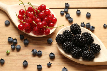 Bild mit Früchte, Weiß, Rot, Holz, Beeren, Obst, nahaufnahme, Johannisbeeren, Brombeeren, kelle