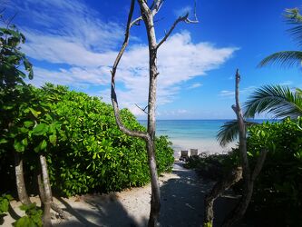 Bild mit Natur, Wasser, Meere, Strände, Karibik, Relaxen, ausblick, Mexiko