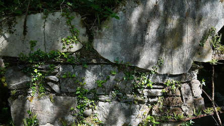 Bild mit alte Mauerwand, Irland, Efeuranke, lost places