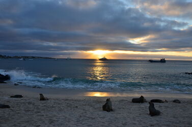 Bild mit Sonnenuntergang, Strand, Meerblick, Meer, Galapagos, San Cristóbal