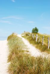Bild mit Sand, Strand, Weg, Düne, Spazierweg