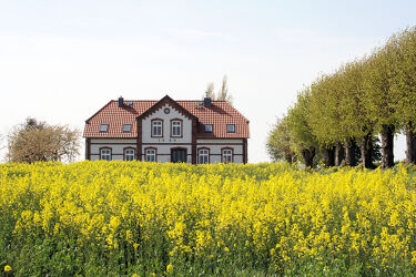 Bild mit Frühling, Bauernhaus, landwirtschaft, Rapsfeld, Bauer, Rapsblüte