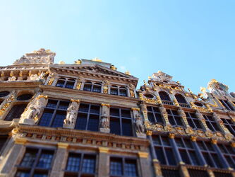 Bild mit Architektur, Gebäude, Goldener Herbst, Goldener Oktober, Belgien, golden