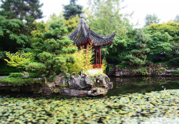 Bild mit Natur, garten, china, Chinatown, botanischer Garten