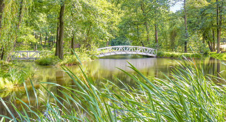 Bild mit Natur, Seen, Parks, Laubbäume, Brücken und Bögen, Gewässer im Wald, Holzbrücke